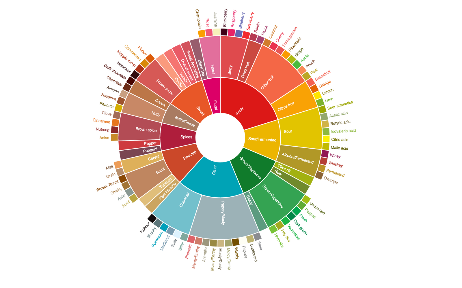 Exploring Coffee Profiles at Relevant Radio Store