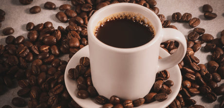 Gourmet & Espresso Coffee