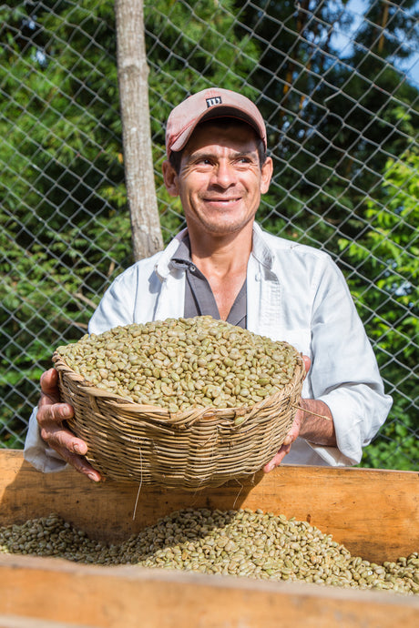 Single Origin