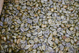 Guadalupe Roastery, Award-Winning Natural Parainema 2026